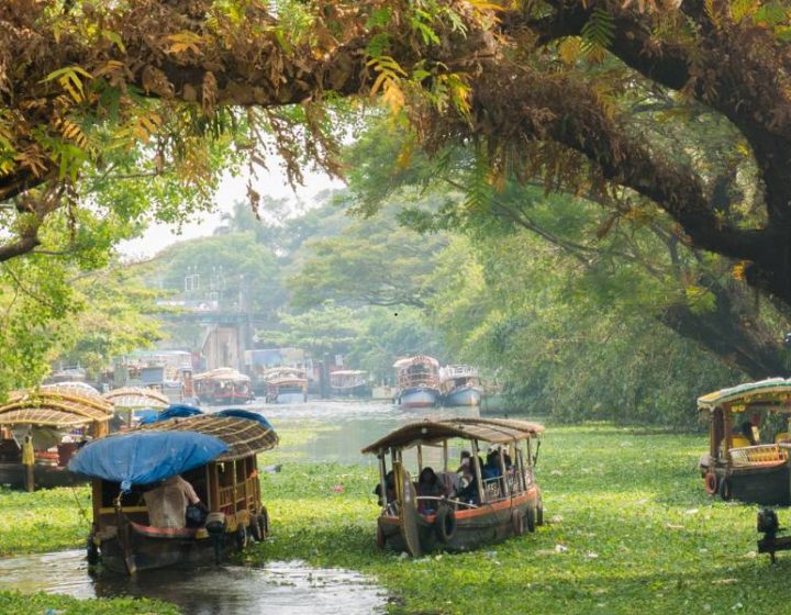 kerala sight seeing places
